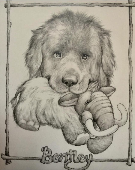Bentley in pencil