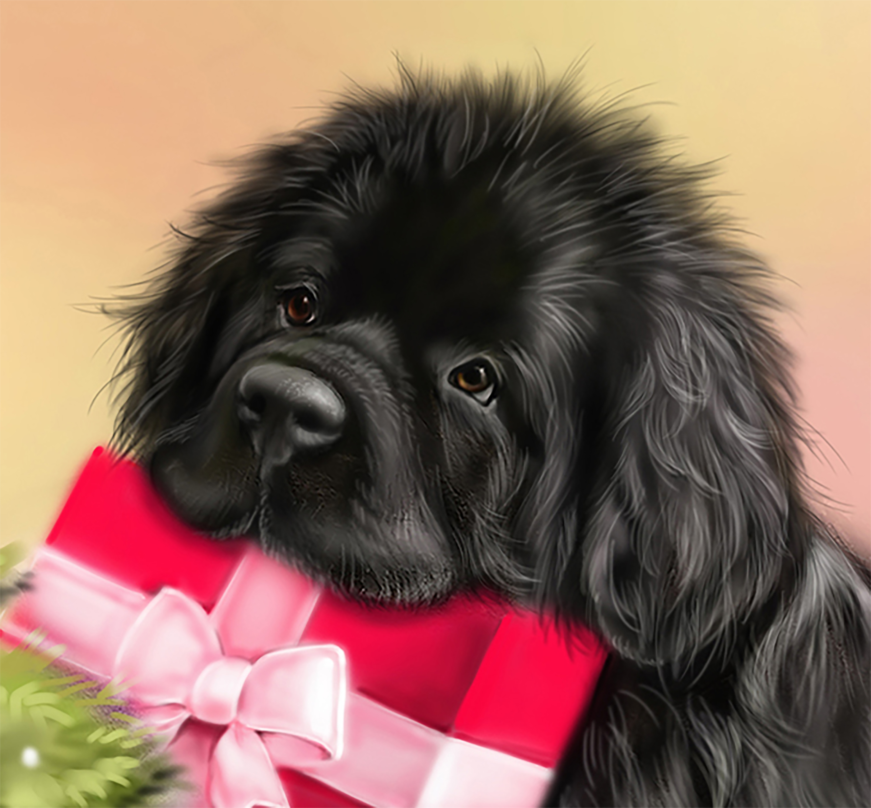 Newfie and present